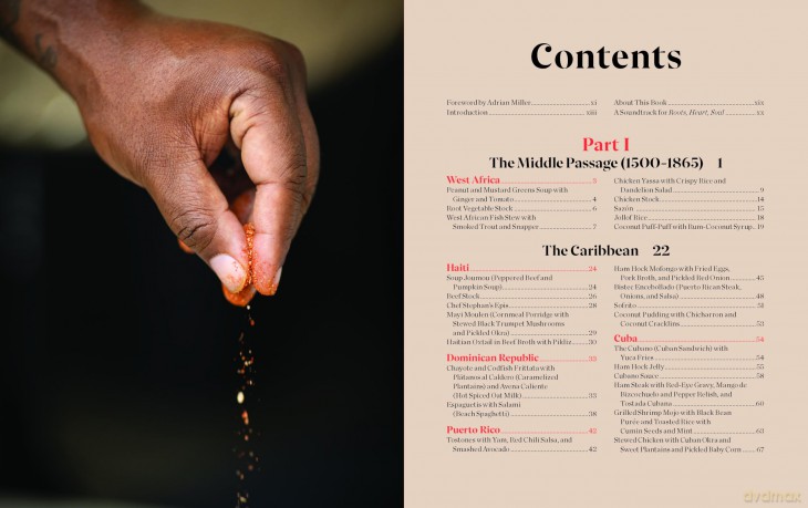 Roots, Heart, Soul: The Story, Celebration, and Recipes of Afro Cuisine in America - Richards Todd [KSIĄŻKA]