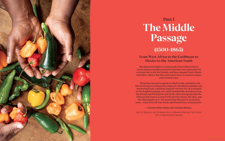 Roots, Heart, Soul: The Story, Celebration, and Recipes of Afro Cuisine in America - Richards Todd [KSIĄŻKA]