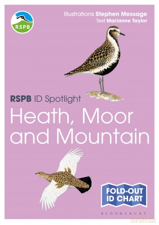 RSPB ID Spotlight - Birds of Heath, Moor and Mountain - Taylor Marianne [KSIĄŻKA]