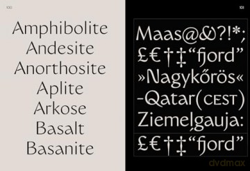 Sans In Use: A Collection of Sans Serif Typefaces - Victionary [KSIĄŻKA]