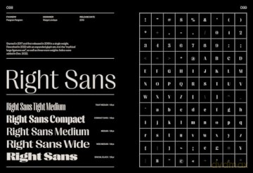 Sans In Use: A Collection of Sans Serif Typefaces - Victionary [KSIĄŻKA]