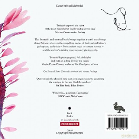 Sea Journal - Lisa Woolett [KSIĄŻKA]
