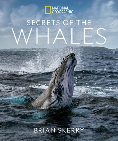 Secrets of the Whales - Skerry Brian [KSIĄŻKA]