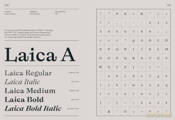 Serif in Use: A Collection of Serif Typefaces - Victionary [KSIĄŻKA]