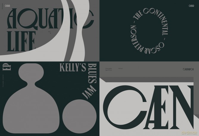 Serif in Use: A Collection of Serif Typefaces - Victionary [KSIĄŻKA]