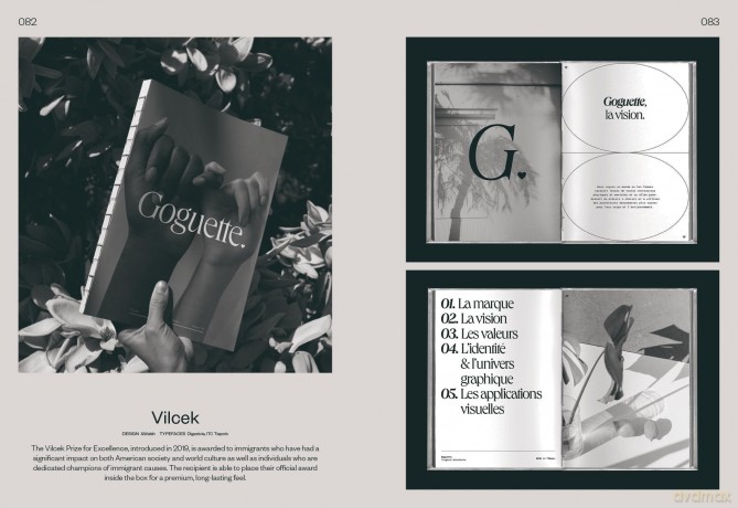 Serif in Use: A Collection of Serif Typefaces - Victionary [KSIĄŻKA]