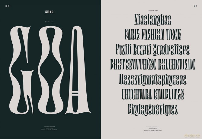 Serif in Use: A Collection of Serif Typefaces - Victionary [KSIĄŻKA]