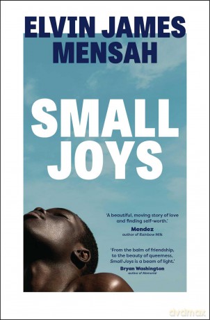 Small Joys: A Buzzfeed 'Amazing New Book You Need to Read ASAP' - Elvin James Mensah [KSIĄŻKA]