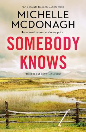 Somebody Knows: A gripping, addictive page-turner about dangerous secrets and the lengths people will go to keep them - Michelle Mcdonagh [KSIĄŻKA]
