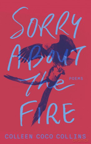 Sorry About the Fire [KSIĄŻKA]