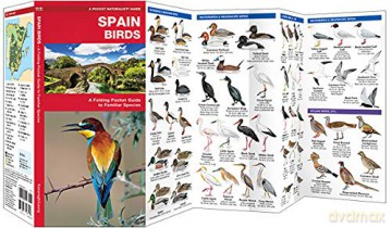 Spain Birds: A Folding Pocket Guide to Familiar Species (Pocket Naturalist Guide) (Wildlife and Nature Identification) - James Kavanagh [KSIĄŻKA]