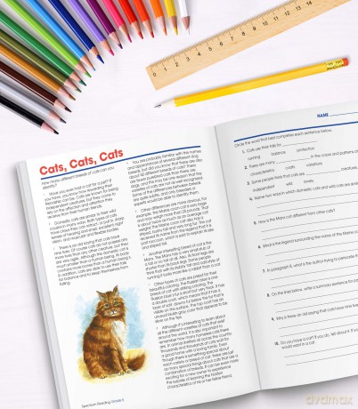Spectrum Reading Workbook, Grade 5: Volume 24 - Spectrum [KSIĄŻKA]