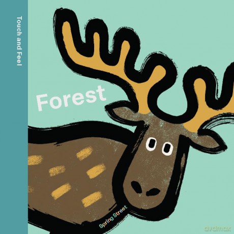 Spring Street Touch and Feel: Forest - Boxer Books [KSIĄŻKA]