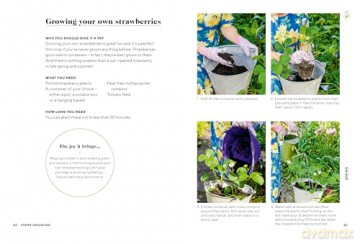 Start Growing: A Year of Joyful Gardening for Absolute Beginners - Daisy Payne [KSIĄŻKA]