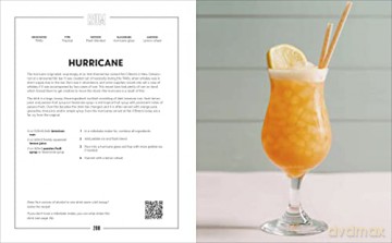 Steve the Bartender's Cocktail Guide: Tools - Techniques - Recipes - Roennfeldt Steven [KSIĄŻKA]
