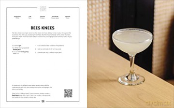 Steve the Bartender's Cocktail Guide: Tools - Techniques - Recipes - Roennfeldt Steven [KSIĄŻKA]