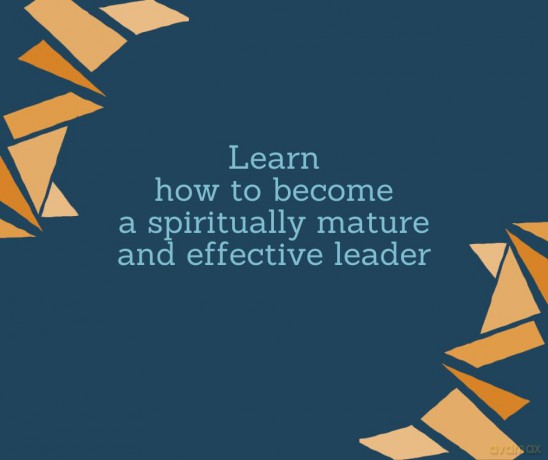 Stirrers and Saints: Forming spiritual leaders of skill, depth and character - Brian Harris [KSIĄŻKA]