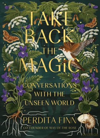 Take Back the Magic: Conversations with the Unseen World - Perdita Finn [KSIĄŻKA]