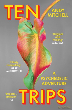 Ten Trips: A Psychedelic Adventure - Mitchell Andy [KSIĄŻKA]