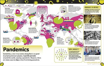 The Bacteria Book (New Edition): Gross Germs, Vile Viruses and Funky Fungi (The Science Book) - Steve Mould [KSIĄŻKA]