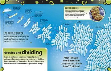 The Bacteria Book (New Edition): Gross Germs, Vile Viruses and Funky Fungi (The Science Book) - Steve Mould [KSIĄŻKA]