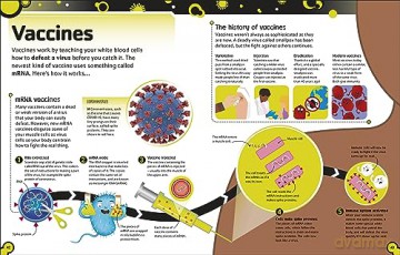 The Bacteria Book (New Edition): Gross Germs, Vile Viruses and Funky Fungi (The Science Book) - Steve Mould [KSIĄŻKA]