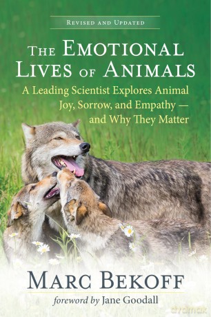 The Emotional Lives of Animals Revised: A Leading Scientist Explores Animal Joy, Sorrow and Empathy - and Why They Matter - Marc Bekoff [KSIĄŻKA]
