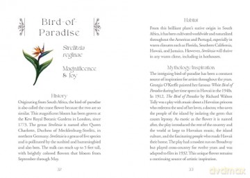The Flowerwise Oracle: Empowerment Through the Ancient Wisdom of the Feminine Spirit - Leigh Podgorski [KSIĄŻKA]