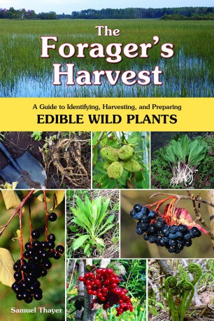 The Forager's Harvest: A Guide to Identifying, Harvesting, and Preparing Edible Wild Plants - Samuel Thayer [KSIĄŻKA]