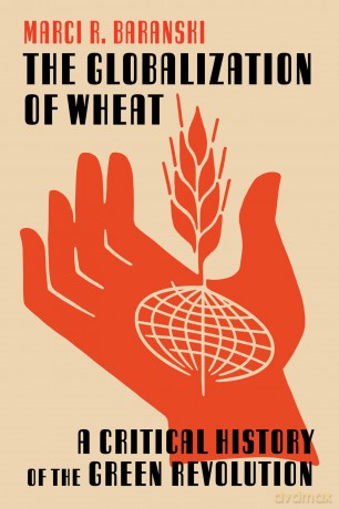 The Globalization of Wheat: A Critical History of the Green Revolution (Intersections: Histories of Environment) [KSIĄŻKA]