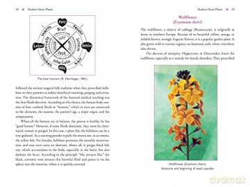 The Heart and Its Healing Plants: Traditional Herbal Remedies and Modern Heart Conditions - Wolf-Dieter Storl [KSIĄŻKA]