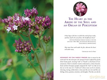 The Heart and Its Healing Plants: Traditional Herbal Remedies and Modern Heart Conditions - Wolf-Dieter Storl [KSIĄŻKA]
