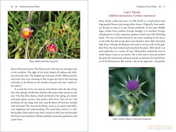 The Heart and Its Healing Plants: Traditional Herbal Remedies and Modern Heart Conditions - Wolf-Dieter Storl [KSIĄŻKA]