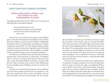 The Heart and Its Healing Plants: Traditional Herbal Remedies and Modern Heart Conditions - Wolf-Dieter Storl [KSIĄŻKA]