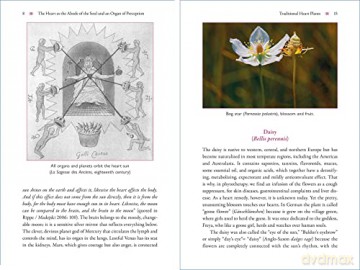 The Heart and Its Healing Plants: Traditional Herbal Remedies and Modern Heart Conditions - Wolf-Dieter Storl [KSIĄŻKA]