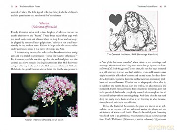 The Heart and Its Healing Plants: Traditional Herbal Remedies and Modern Heart Conditions - Wolf-Dieter Storl [KSIĄŻKA]