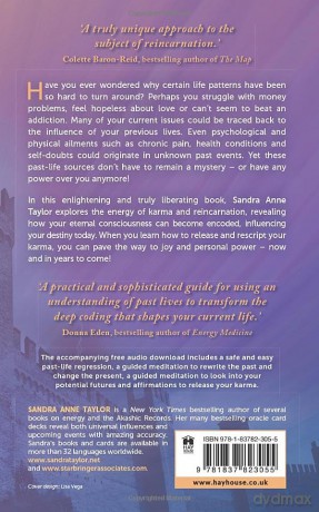 The Hidden Power of Your Past Lives: Revealing Your Encoded Consciousness - Sandra Anne Taylor [KSIĄŻKA]