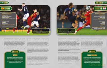 The History of the European Championship - Adrian Besley [KSIĄŻKA]