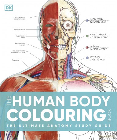 The Human Body Colouring Book: The Ultimate Anatomy Study Guide (DK Human Body Guides) - Dk [KSIĄŻKA]