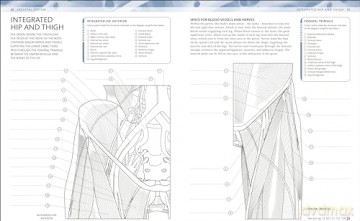 The Human Body Colouring Book: The Ultimate Anatomy Study Guide (DK Human Body Guides) - Dk [KSIĄŻKA]