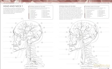 The Human Body Colouring Book: The Ultimate Anatomy Study Guide (DK Human Body Guides) - Dk [KSIĄŻKA]