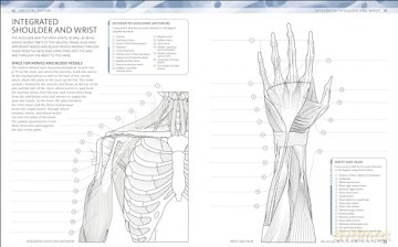The Human Body Colouring Book: The Ultimate Anatomy Study Guide (DK Human Body Guides) - Dk [KSIĄŻKA]