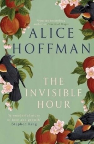 The Invisible Hour - Alice Hoffman [KSIĄŻKA]