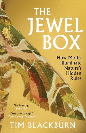 The Jewel Box: How Moths Illuminate Nature's Hidden Rules - Tim Blackburn [KSIĄŻKA]