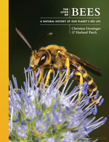 The Lives of Bees: A Natural History of Our Planet's Bee Life (The Lives of the Natural World, 9) - Harland Patch [KSIĄŻKA]