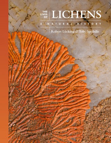 The Lives of Lichens: A Natural History: 10 (The Lives of the Natural World, 10) - Robert Lucking [KSIĄŻKA]