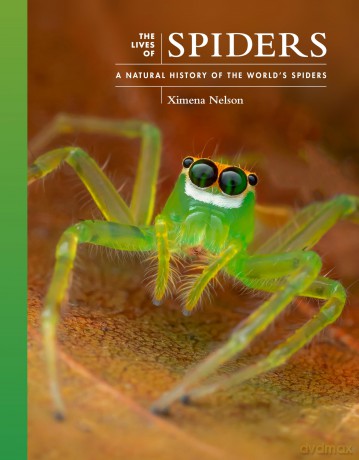 The Lives of Spiders: A Natural History of the World's Spiders: 11 (The Lives of the Natural World, 11) - Ximena Nelson [KSIĄŻKA]
