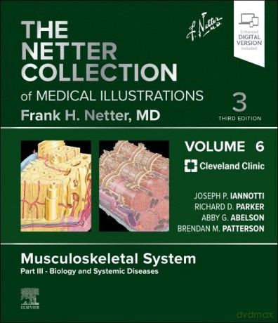The Netter Collection of Medical Illustrations: Musculoskeletal System, Volume 6, Part III - Biology and Systemic Diseases (Netter Green Book Collection) - Joseph Iannotti [KSIĄŻKA]