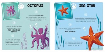 The Ocean: Build your mini-city and play! (Mini Puzzles) - White Star [KSIĄŻKA]
