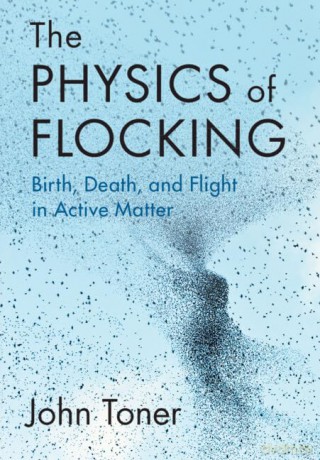 The Physics of Flocking: Birth, Death, and Flight in Active Matter - John Toner [KSIĄŻKA]